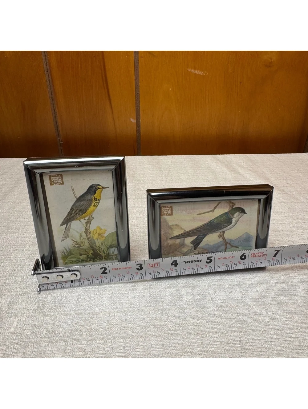 Vintage Mini Bird Prints in Silver Tone Frames Set of 2 Dwight’s Soda Card Art